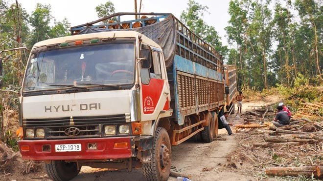 Tranh chấp rừng trồng, doanh nghiệp tố Tướng công an - ảnh 1