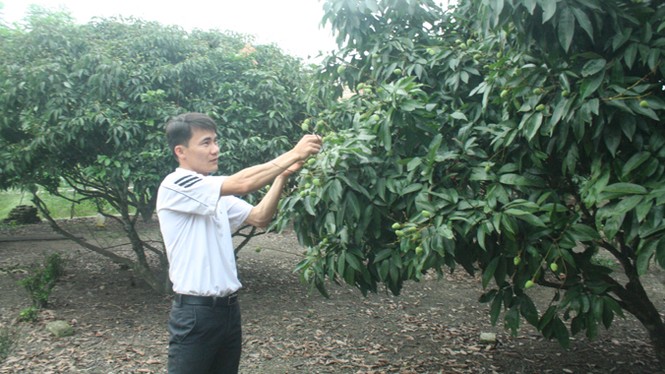 Những thanh niên thay đổi diện mạo nông thôn - ảnh 1