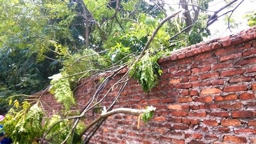 Hiện trường tan hoang vụ trực thăng rơi - ảnh 10