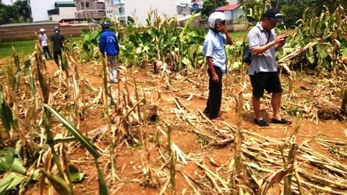 Hiện trường tan hoang vụ trực thăng rơi - ảnh 13