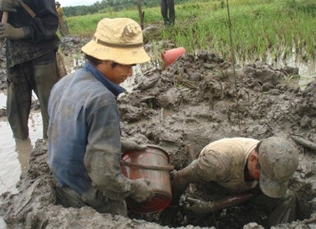 Đào ‘nghĩa địa’ tìm báu vật gỗ mục thời tiền sử - ảnh 4