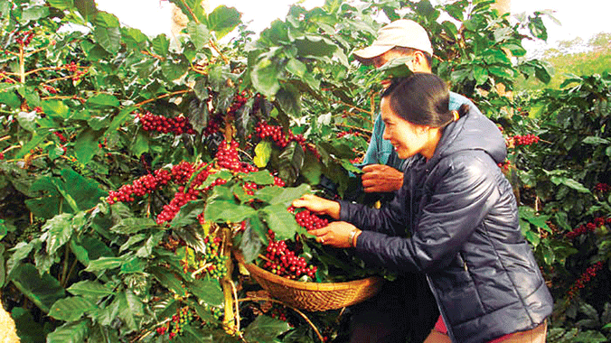 Hồn Thủ đô trên cao nguyên đất đỏ - ảnh 1