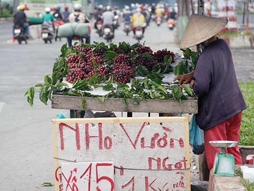 Nho “lạ” giá 30.000 đồng/kg bán ngập thị trường - ảnh 1