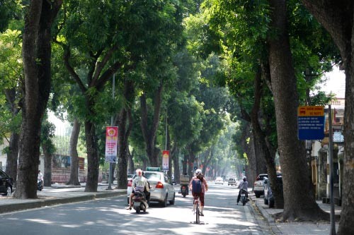 Hà Nội thanh bình nhuộm nắng vàng cuối thu - ảnh 14