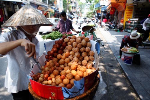 Hà Nội thanh bình nhuộm nắng vàng cuối thu - ảnh 16