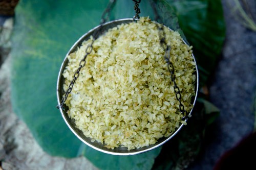 Hà Nội thanh bình nhuộm nắng vàng cuối thu - ảnh 17