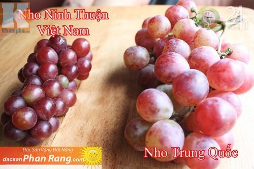 Những hoa quả Việt chịu án oan vì hàng Trung Quốc - ảnh 5