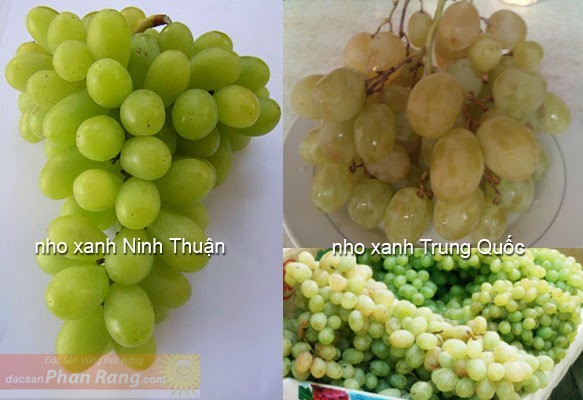 Những hoa quả Việt chịu án oan vì hàng Trung Quốc - ảnh 6