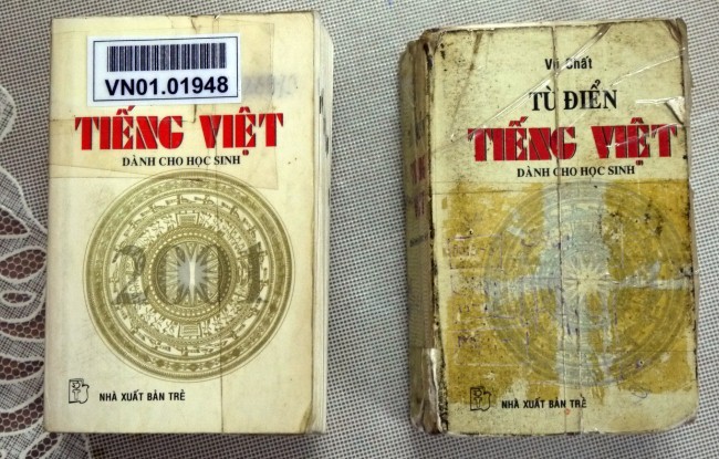 Từ điển “phá nát” tiếng Việt - ảnh 2