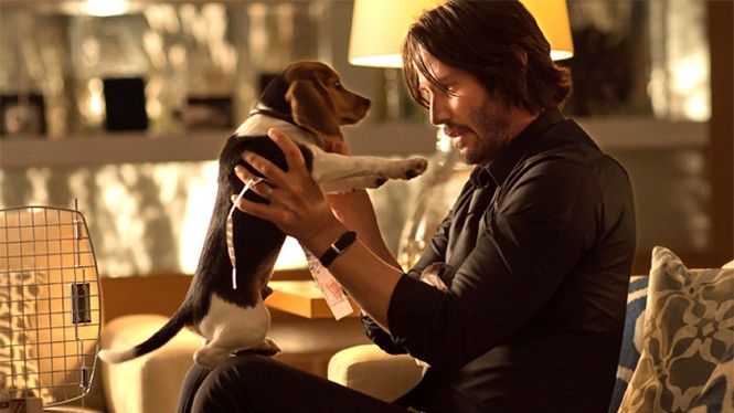 Phim mới của Keanu Reeves: Hành động trước, cảm xúc sau - ảnh 1