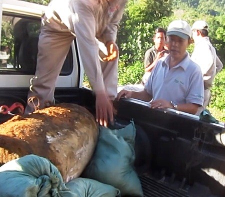 Phát hiện quả bom “khủng” nặng trên 300 kg - ảnh 1
