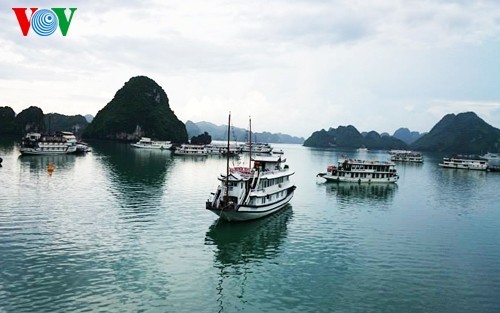 Du khách lần đầu được tham quan Hạ Long bằng trực thăng - ảnh 2