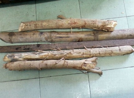 Hàng chục học viên cai nghiện đánh nhau - ảnh 1