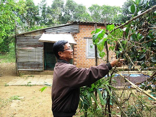 Đại gia chán phố, dạt về quê ở ẩn - ảnh 5