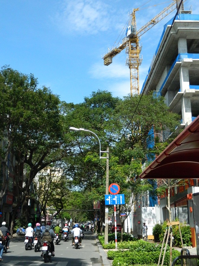 Sắt thép, cần cẩu chực chờ gây họa - ảnh 2