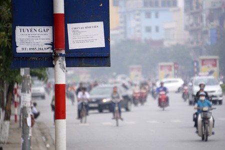 Biển báo giao thông biến thành biển 'tuyển gấp' - ảnh 12