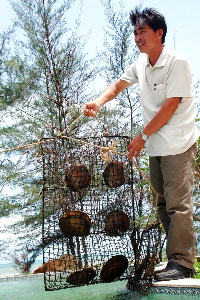 Gặp ông chủ