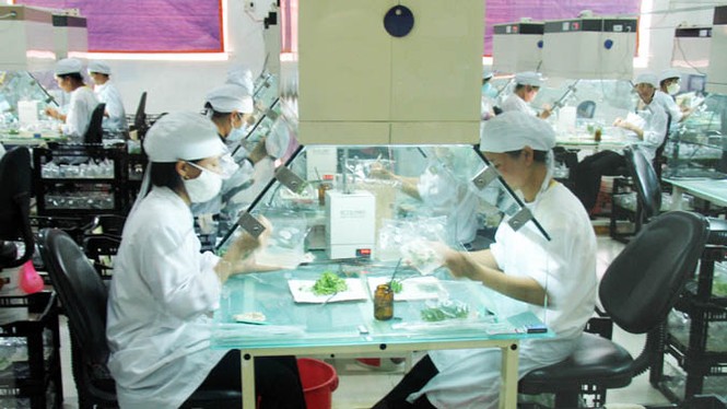 Tỷ phú hoa xuất khẩu - ảnh 1