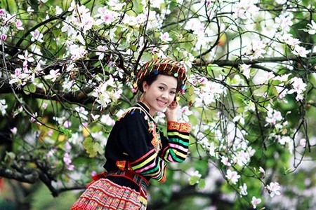 Ngẩn ngơ trước những loài hoa tuyệt đẹp vùng Tây Bắc - ảnh 2