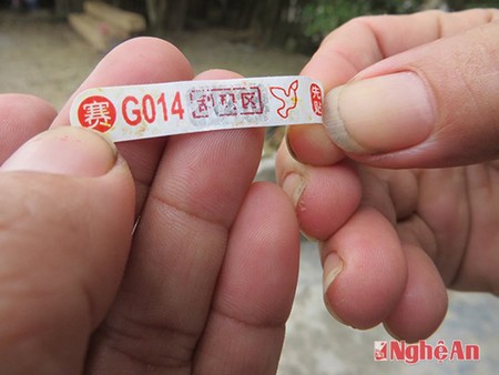 Xuất hiện bồ câu “đưa thư” có chữ lạ - ảnh 1