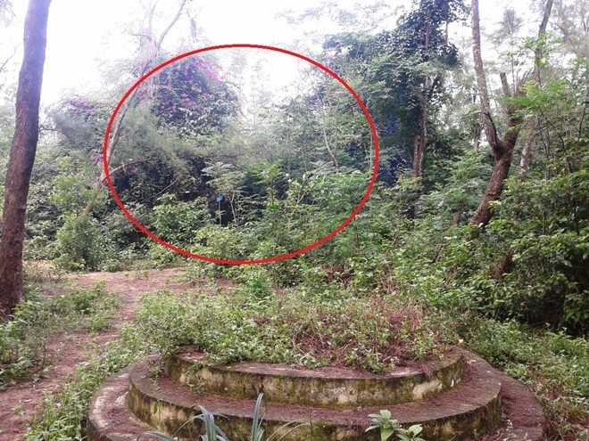 'Dị nhân' sống trong nghĩa địa cả thập kỷ - ảnh 1