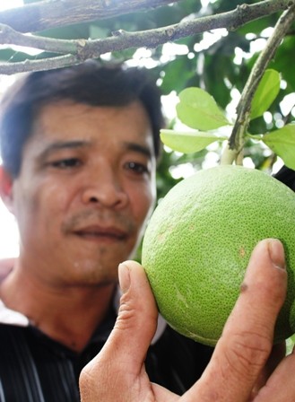 Quà Tết “siêu độc