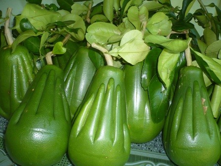Quà Tết “siêu độc