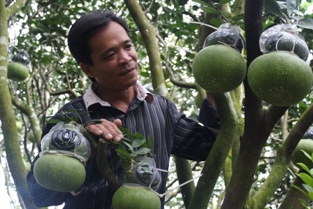 Quà Tết “siêu độc