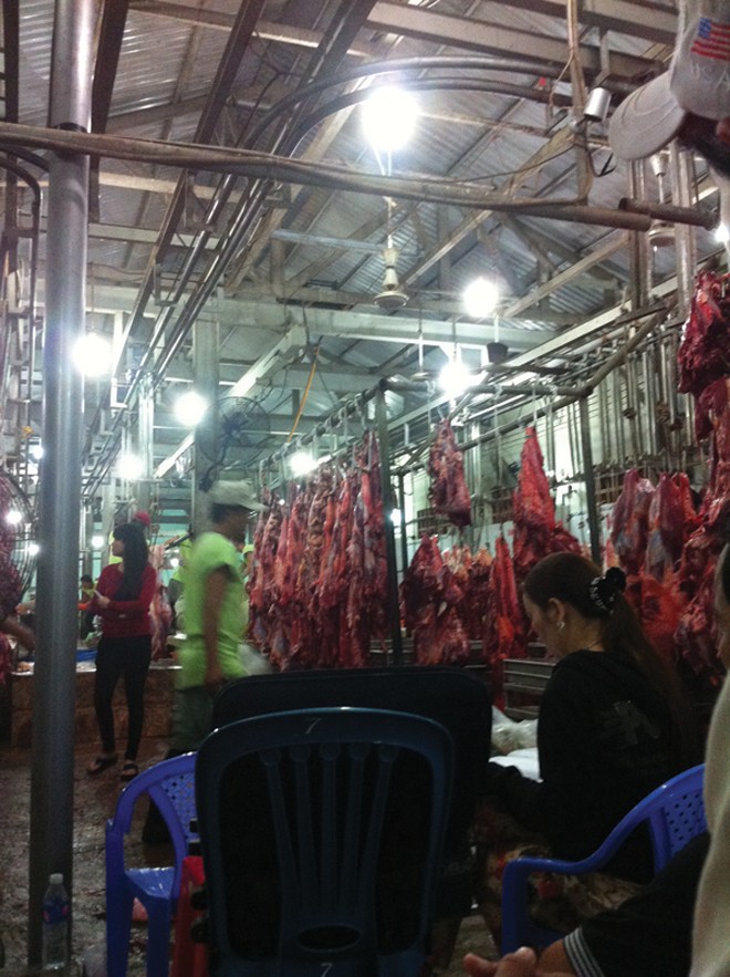 Thâm nhập 'đại bản doanh' bò bơm nước ở Long An - ảnh 2