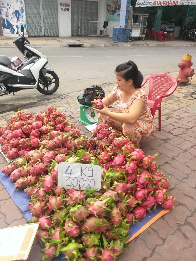 Thanh long giá 'bèo' 2.000 đồng/kg, người mua vẫn hờ hững - ảnh 3