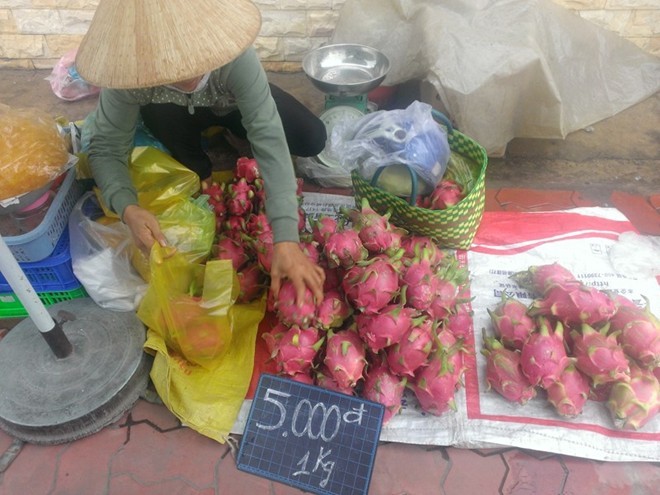Thanh long giá 'bèo' 2.000 đồng/kg, người mua vẫn hờ hững - ảnh 6