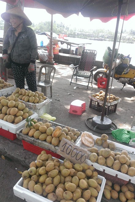 Thanh long giá 'bèo' 2.000 đồng/kg, người mua vẫn hờ hững - ảnh 8