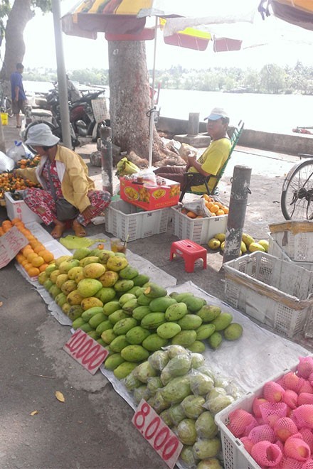 Thanh long giá 'bèo' 2.000 đồng/kg, người mua vẫn hờ hững - ảnh 9
