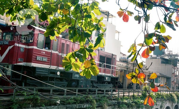 Hà Nội đẹp lung linh trong nắng đầu đông - ảnh 11