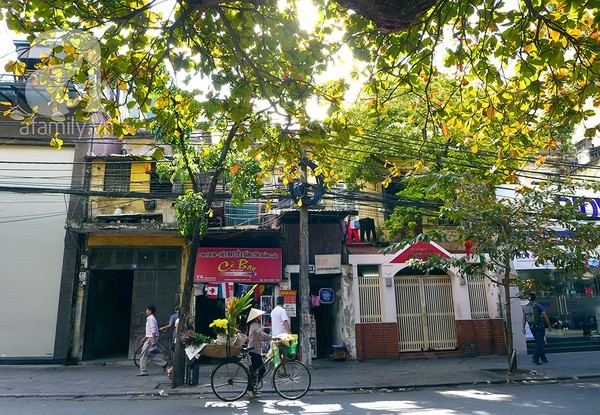 Hà Nội đẹp lung linh trong nắng đầu đông - ảnh 1