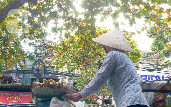 Hà Nội đẹp lung linh trong nắng đầu đông - ảnh 2