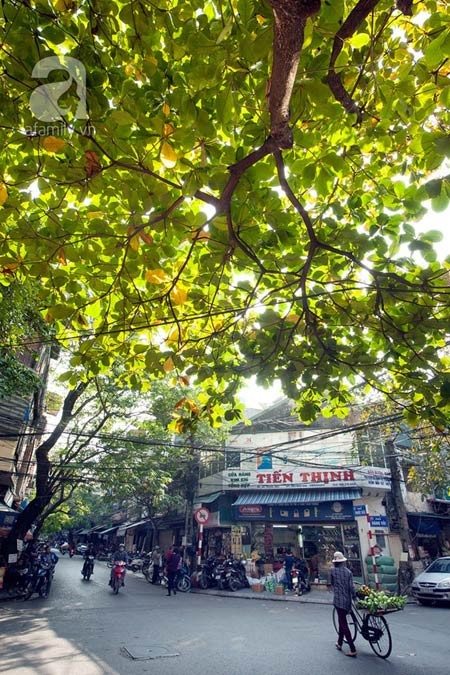 Hà Nội đẹp lung linh trong nắng đầu đông - ảnh 6