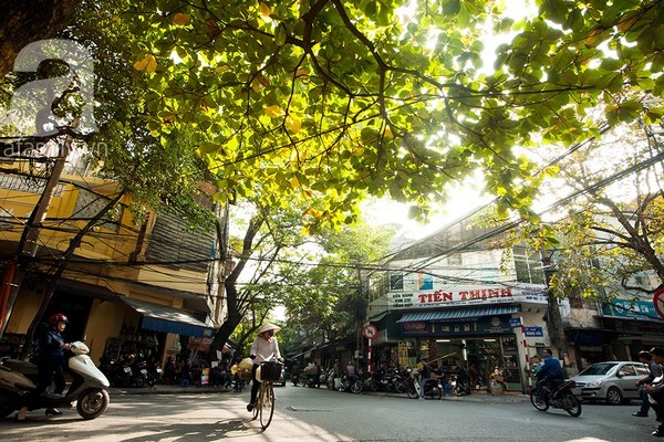 Hà Nội đẹp lung linh trong nắng đầu đông - ảnh 7