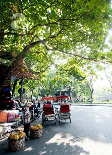 Hà Nội đẹp lung linh trong nắng đầu đông - ảnh 8