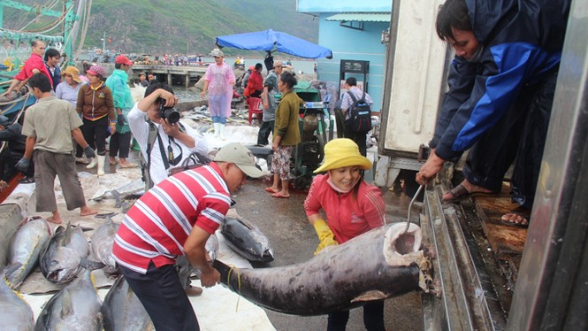 Chủ động phản ứng linh hoạt chống bão số 4 - ảnh 5