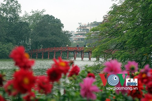 Hồ Gươm rực rỡ sắc hoa đào - ảnh 10