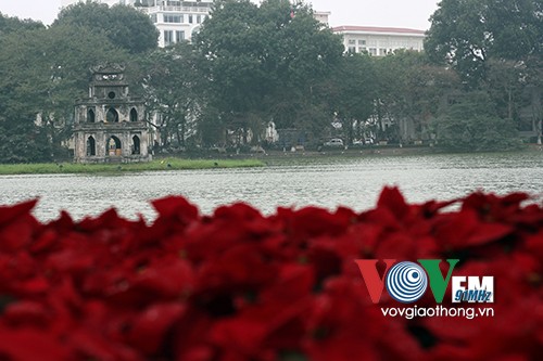 Hồ Gươm rực rỡ sắc hoa đào - ảnh 12
