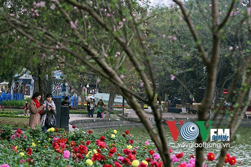 Hồ Gươm rực rỡ sắc hoa đào - ảnh 14