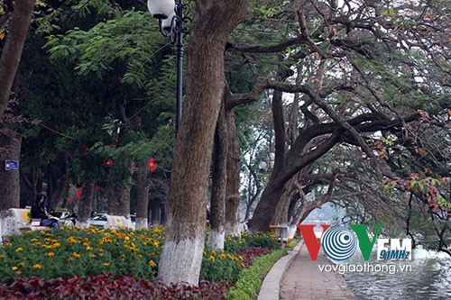 Hồ Gươm rực rỡ sắc hoa đào - ảnh 18