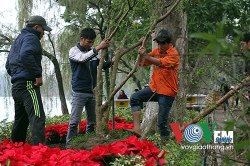 Hồ Gươm rực rỡ sắc hoa đào - ảnh 1