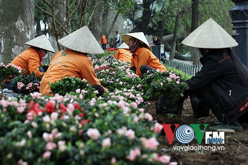 Hồ Gươm rực rỡ sắc hoa đào - ảnh 5