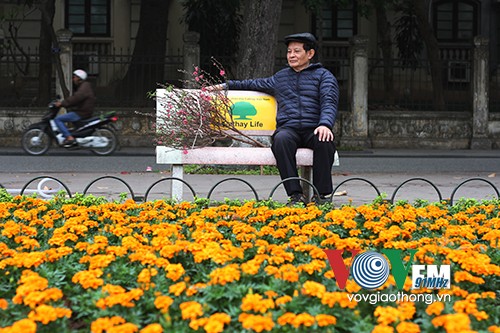 Hồ Gươm rực rỡ sắc hoa đào - ảnh 8