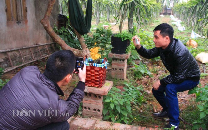 Lạ lẫm phật thủ bonsai dáng “bàn tay chắp” - ảnh 9