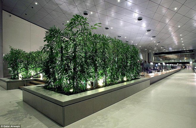 Hình ảnh bên trong sân bay xa xỉ ở Qatar - ảnh 13