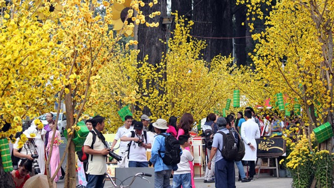 Sài Gòn tràn ngập sắc xuân cùng mai, đào - ảnh 2